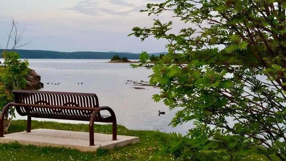 Riverview Suites Clarenville Εξωτερικό φωτογραφία