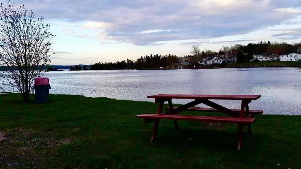 Riverview Suites Clarenville Εξωτερικό φωτογραφία