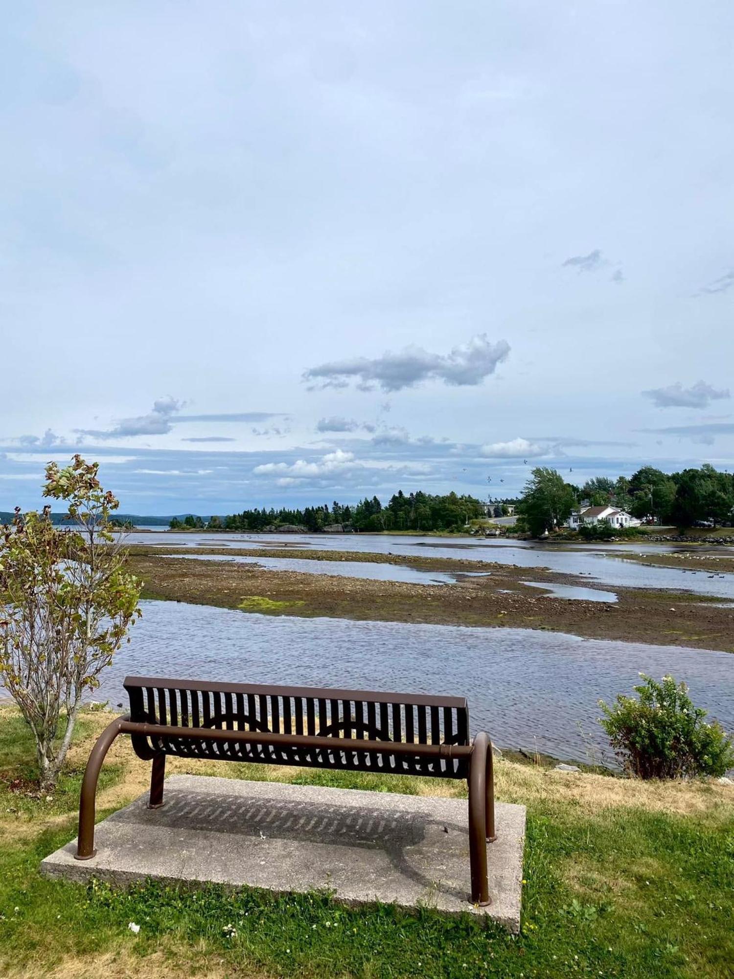Riverview Suites Clarenville Εξωτερικό φωτογραφία